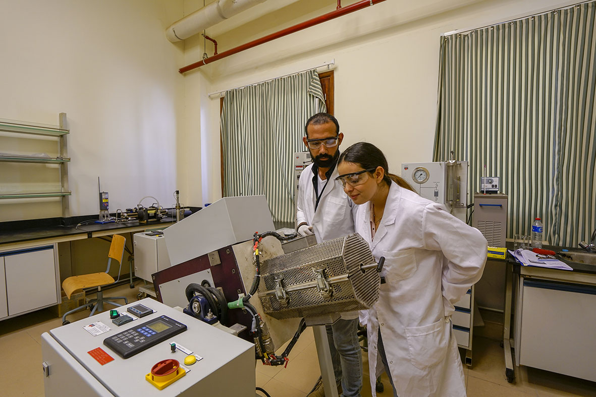 The American University in Cairo